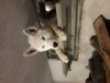 20181129_205031.jpg