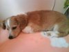 DSC00589_small.jpg