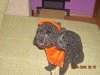 DSCN0007.jpg