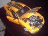 DSC00549.jpg