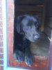 DSC00007.jpg