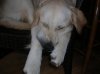DSCN4321.jpg