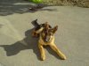 DSC00001.JPG