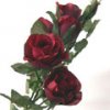 2ruzabordo49cm_m.jpg