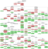 310px-IndoEuropeanTree.svg.png