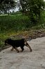 IMG_20190519_174243.jpg