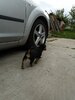 IMG_20190519_174416.jpg