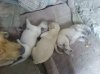 DSC00793_resize.jpg