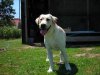 DSCN6835.jpg