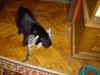 IMG_0057.jpg