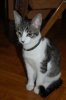 DSC_0085.jpg