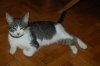 DSC_0079.jpg
