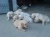DSC00807_resize.JPG