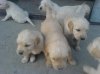DSC00815_resize.JPG