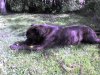 DSC00978.jpg
