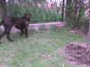 DSC00935.jpg