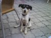 DSC00003.jpg