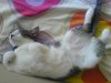 DSC02252.jpg
