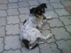 DSC00018.jpg