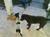 DSC00021.jpg