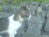 DSC02115.jpg