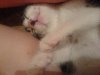 DSC02060.jpg