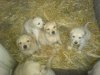 DSC0r0861.jpg