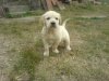 DSC00853.jpg