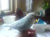 DSC01699.jpg