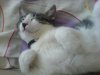 DSC02253.jpg