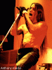 chili1.gif