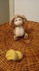 DSC02154.jpg