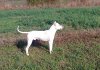 DSC00327.jpg