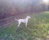 DSC00331.jpg