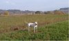 DSC00338.jpg
