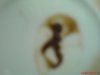 DSC00417.JPG