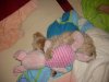 SDC11264.jpg