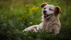 IMG_1312 - Wallpaper.jpg