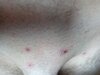 IMG_20190820_113628.jpg
