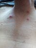 IMG_20190820_113550.jpg