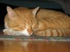 IMG_2738.jpg