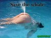 save_the_whale.jpg