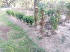 IMG_20190928_172141.jpg