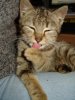 DSC09710.jpg
