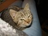 DSC09704.jpg