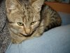 DSC09705.jpg