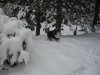 SDC11258.JPG