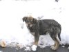 Zima (4).jpg