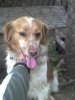 DSC00509.jpg