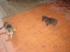 Picture 006.jpg